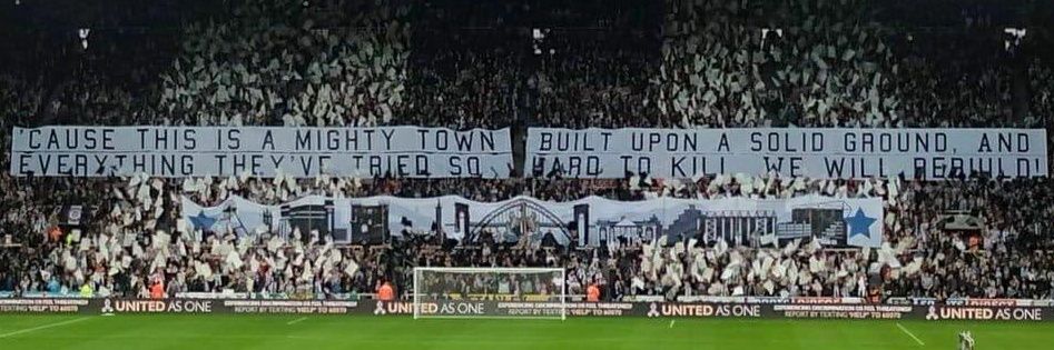 Maximo Beerbelli banner