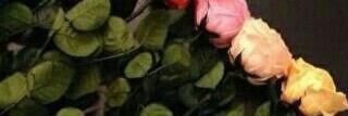 goooomanh's profile banner image
