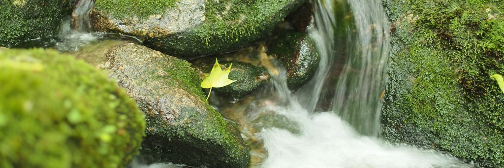 くろあめ💉M3P3(XBB) banner