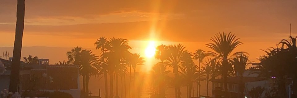 brookethomson's profile banner image