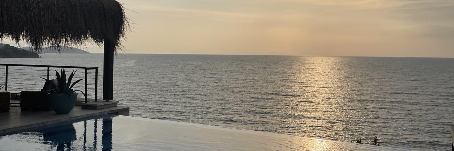 Pierre F. Bardi banner