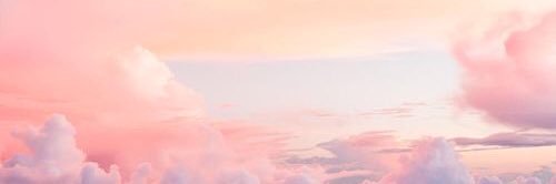 Selin Aydemir banner