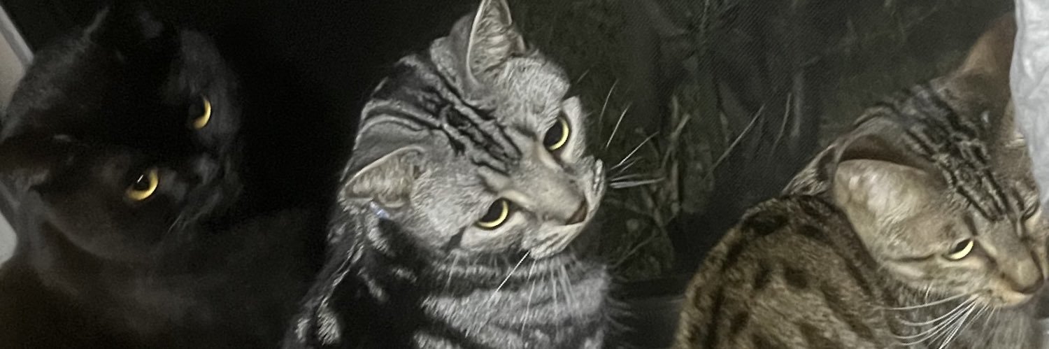 vlk_f's profile banner image