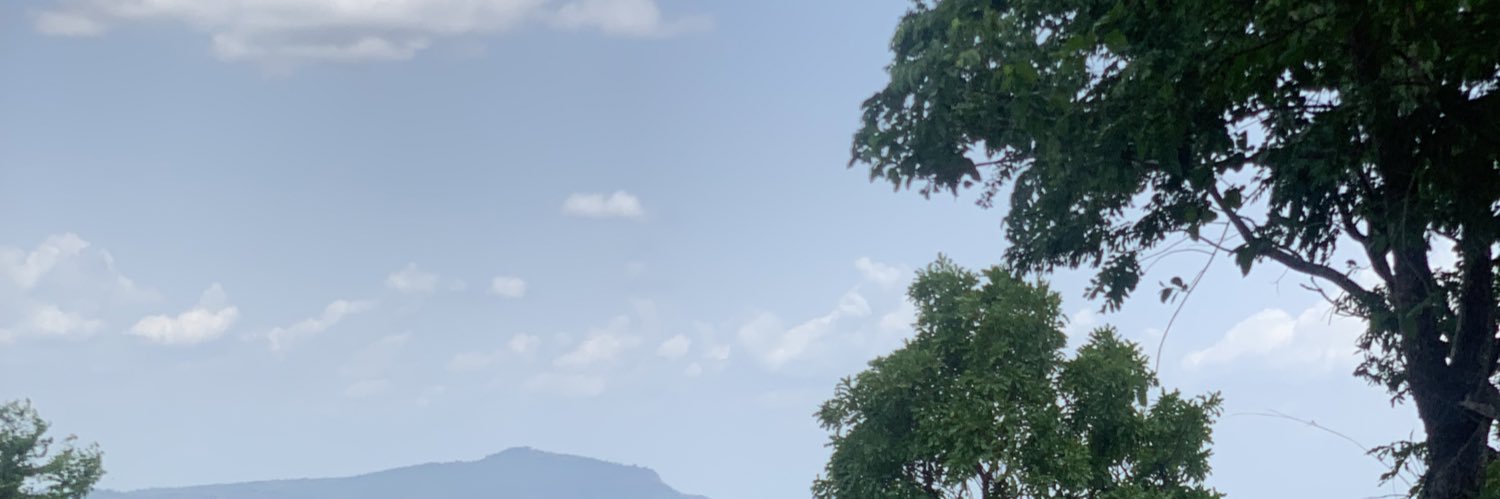 Sena banner