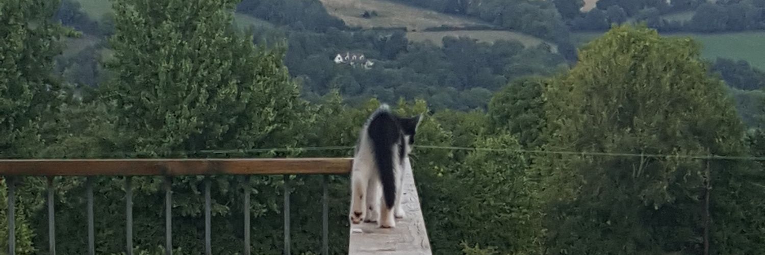 Jamie Stedmond banner