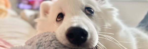 zknc_ Profile Banner