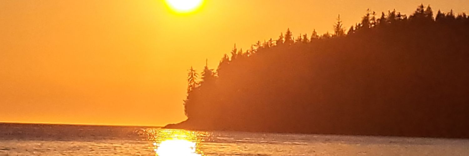 sandjmcdivitt's profile banner image