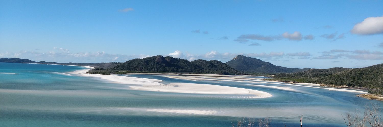 Grace Dennison banner