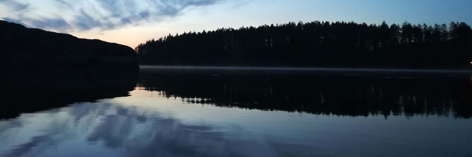 Teemu T Kaskinen banner
