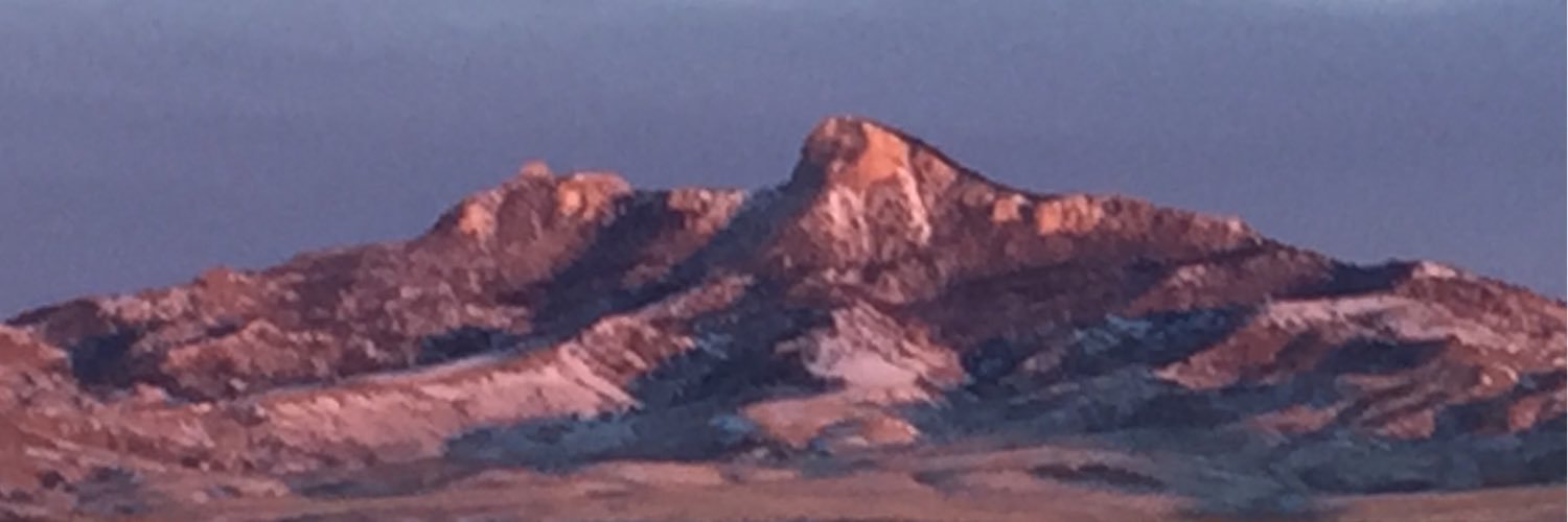 mamavick's profile banner image