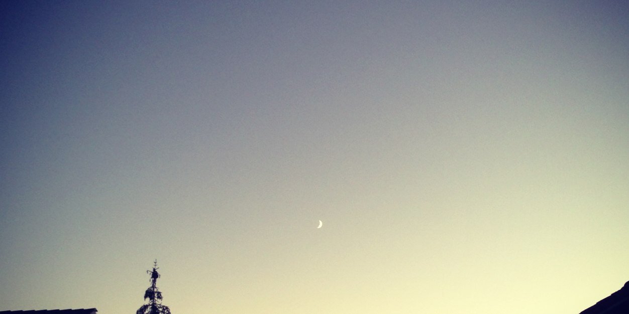 Jul DeNeuilly🌐 banner