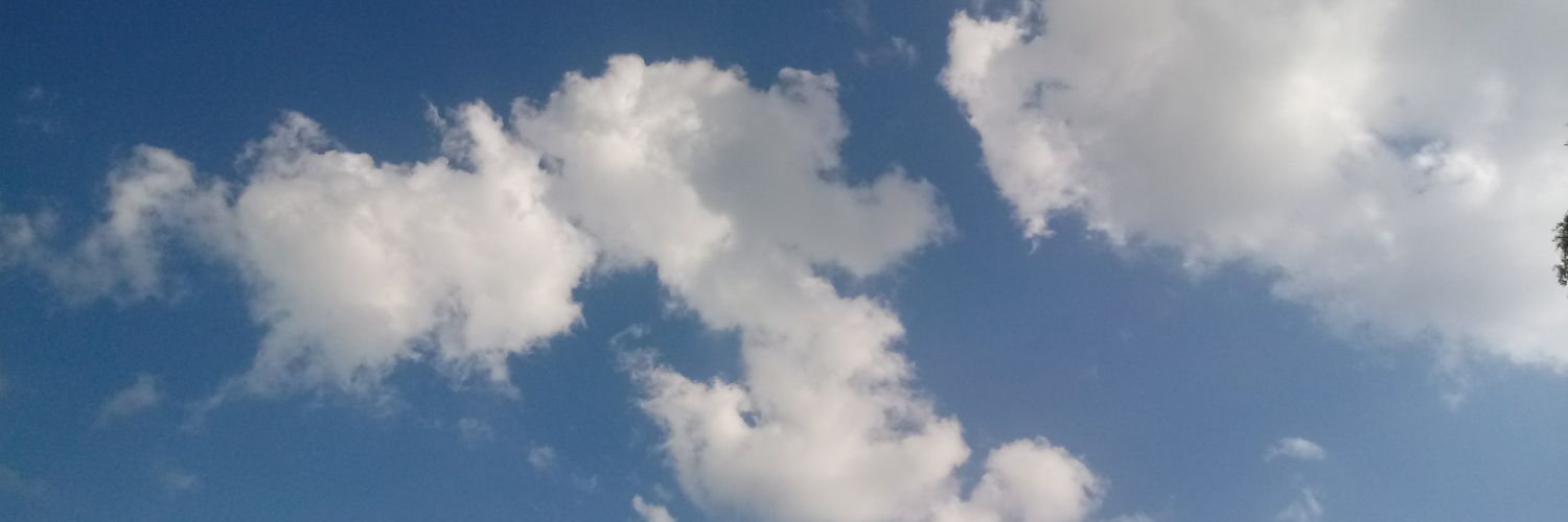Bra_Larry_Very's profile banner image