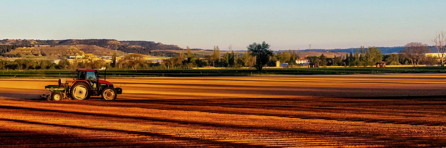 Maria González Corral banner