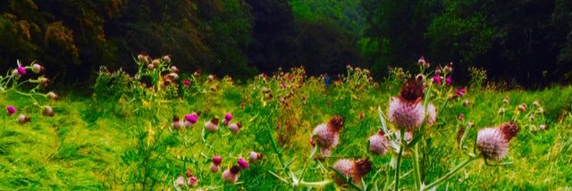 Gordon Abbott banner
