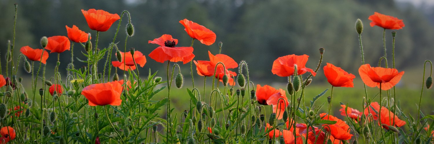 Philosophical_Investigations banner