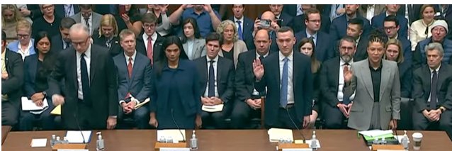 de Man (this/that)😎🇺🇸 banner