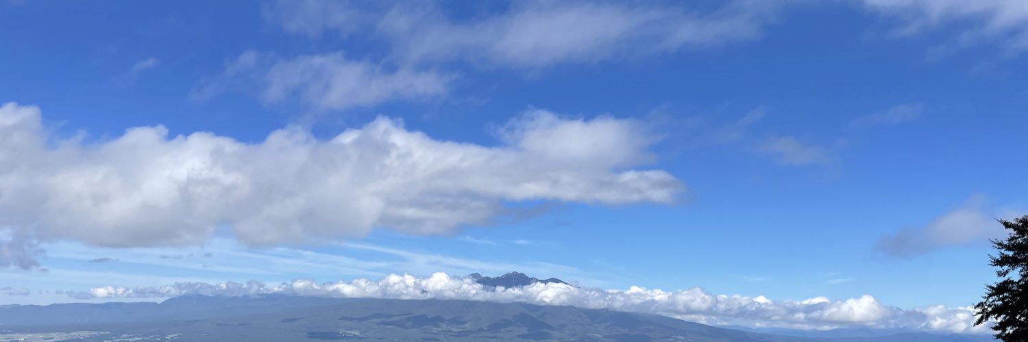 ぱんだ饅 banner