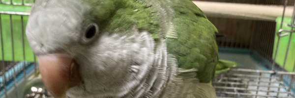 shin_10_10 Profile Banner