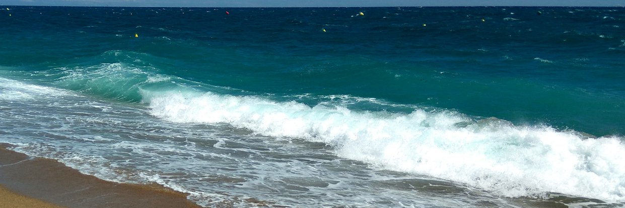 Natalia Kiseleva banner