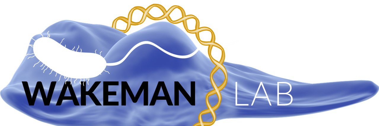 Wakeman Lab banner