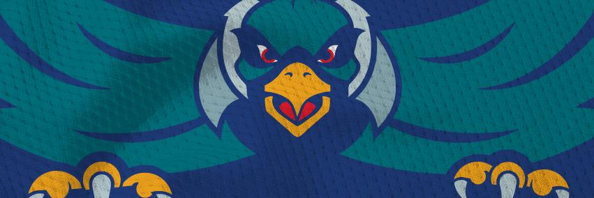 aaccsoccer's profile banner image