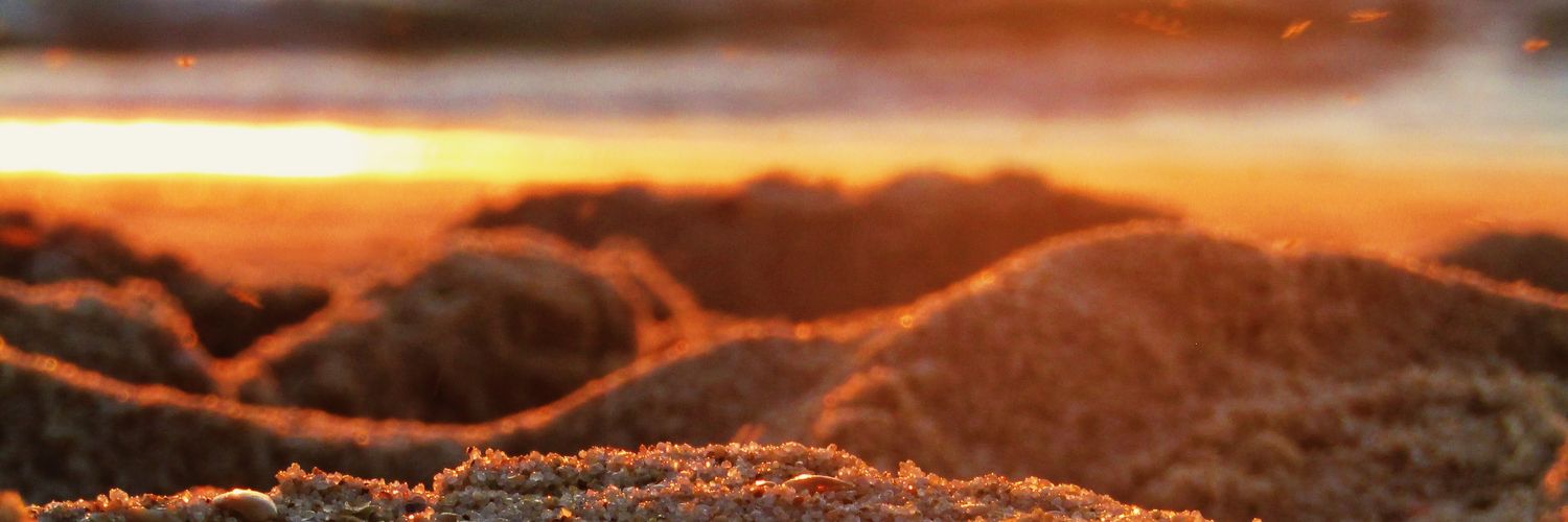 BrunaTomaas's profile banner image