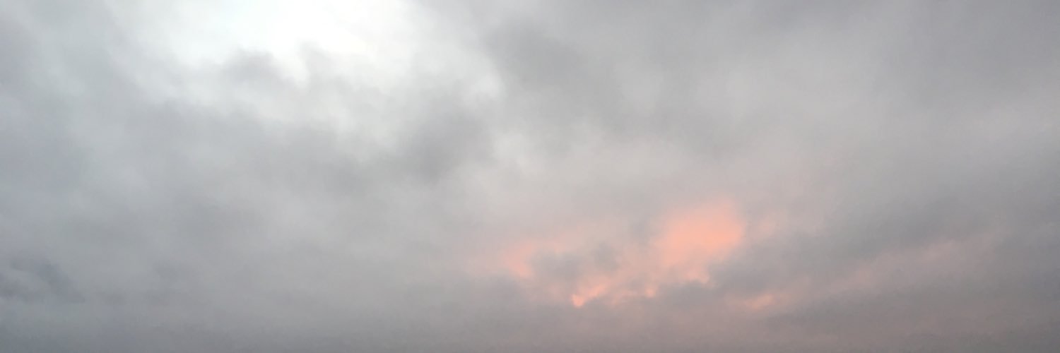 Scott MacArthur banner