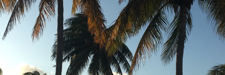 Summer_9988's profile banner image