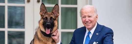 Close Call 🆘🌻🌻 banner