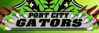 Gators Ball Hockey banner