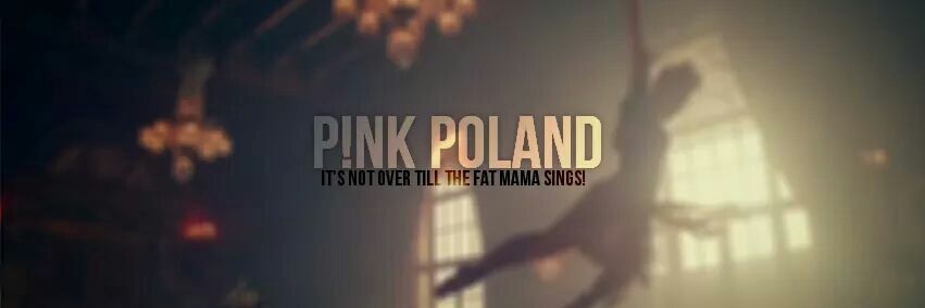 PinkPoland's profile banner image
