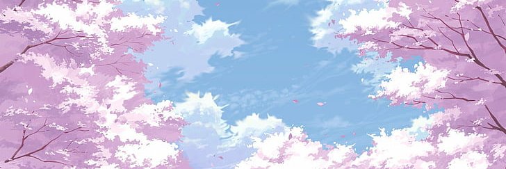 OkFirework's profile banner image