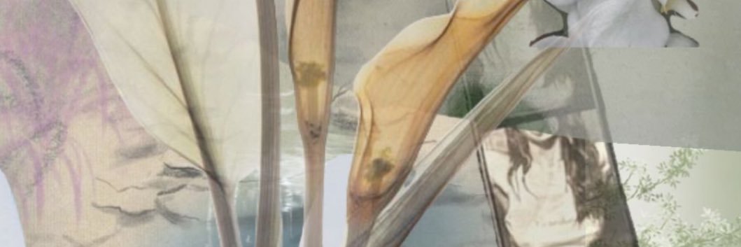 k. banner