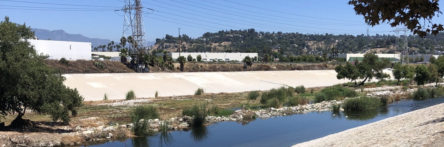 Lex Steppling banner