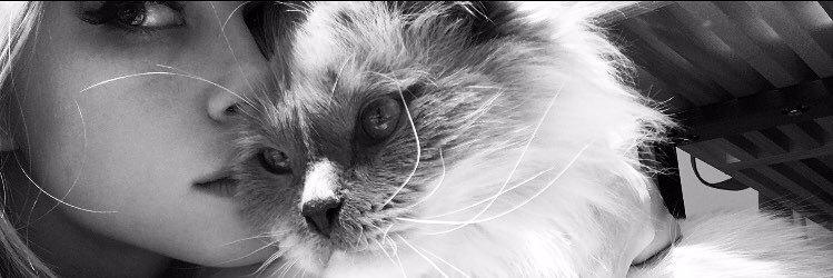 okhennig's profile banner image