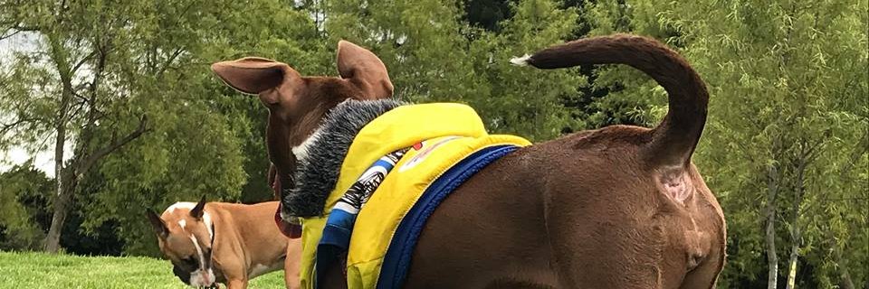 _Obandito's profile banner image