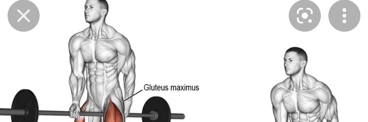 Thane | mr. suboptimal banner