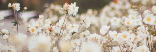 kreeeshna's profile banner image
