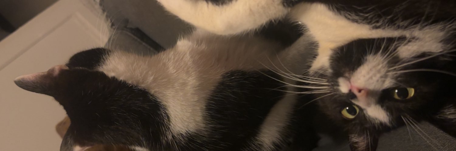 Pou_Lan's profile banner image
