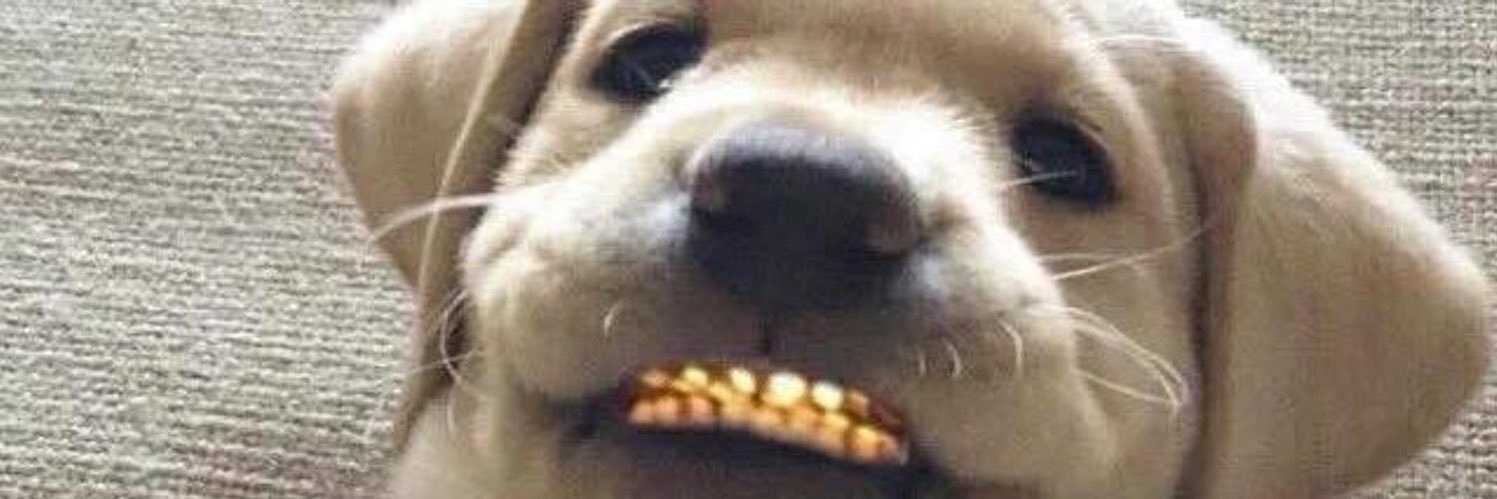 GatewoodRyan's profile banner image