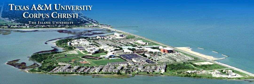 A&M Corpus Christi banner