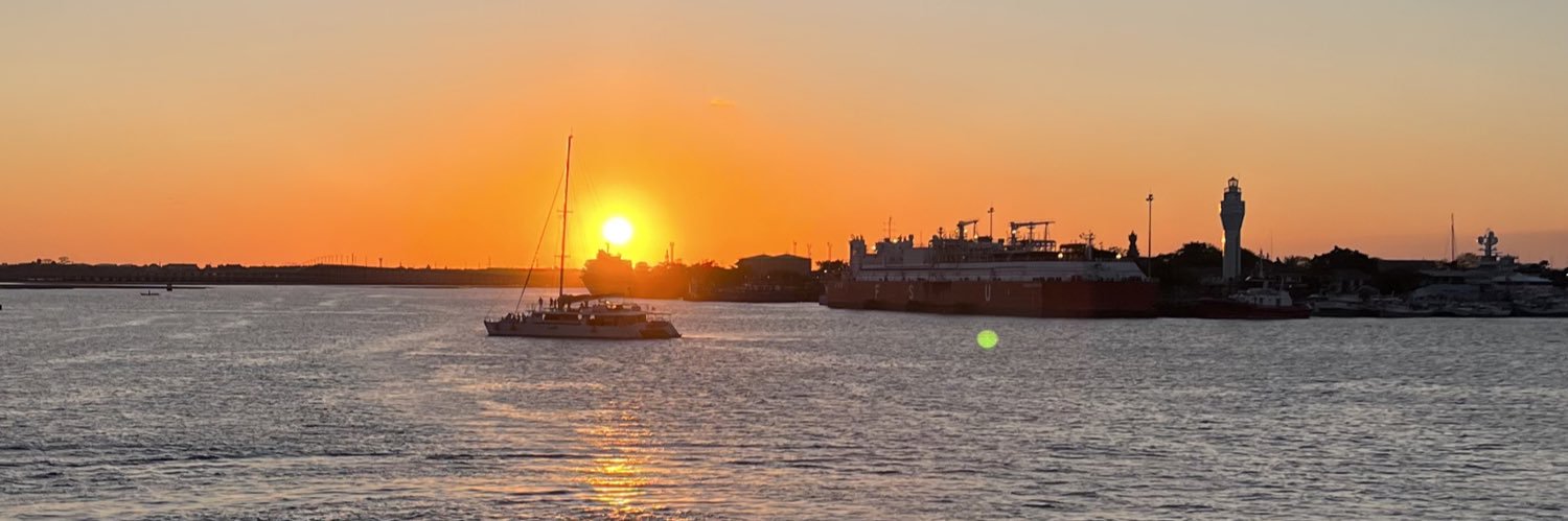 💪🏻 ᓚᘏᗢ banner