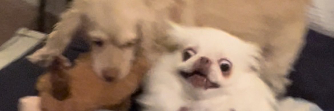 JCManning85's profile banner image