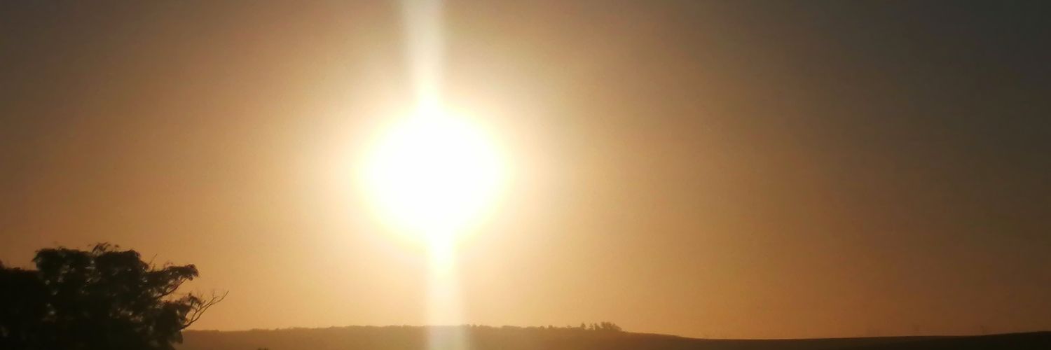 luuyoloX's profile banner image