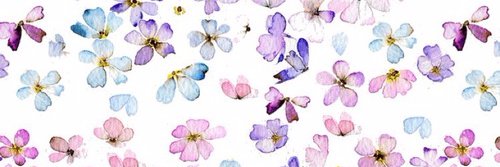 29MariaGabriela's profile banner image