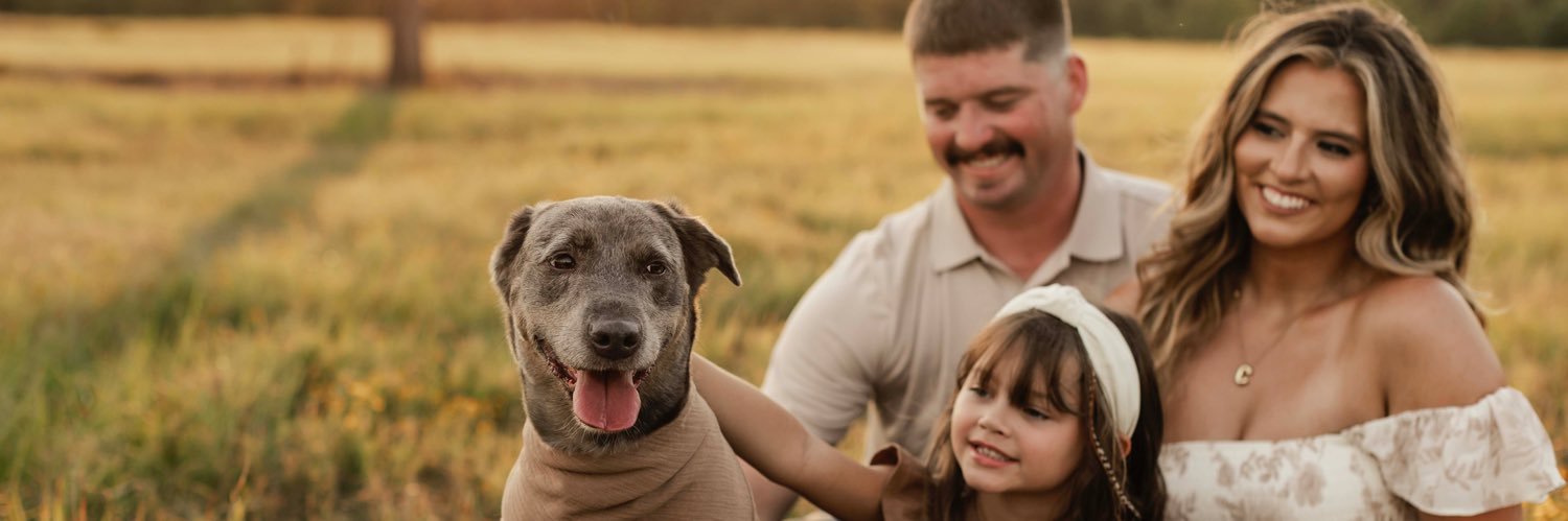 haleybferrell's profile banner image