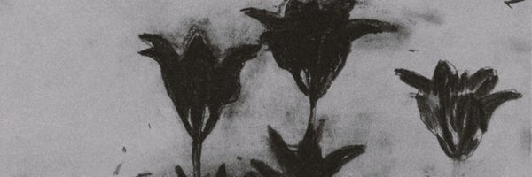 strzident Profile Banner