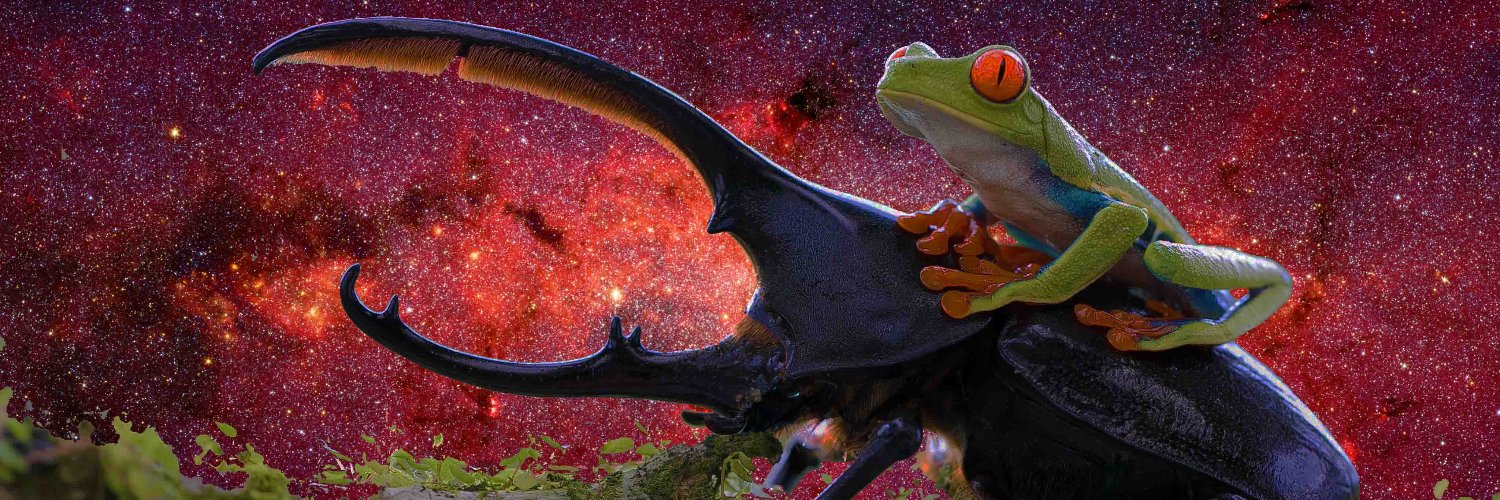 Ninnetyer's profile banner image