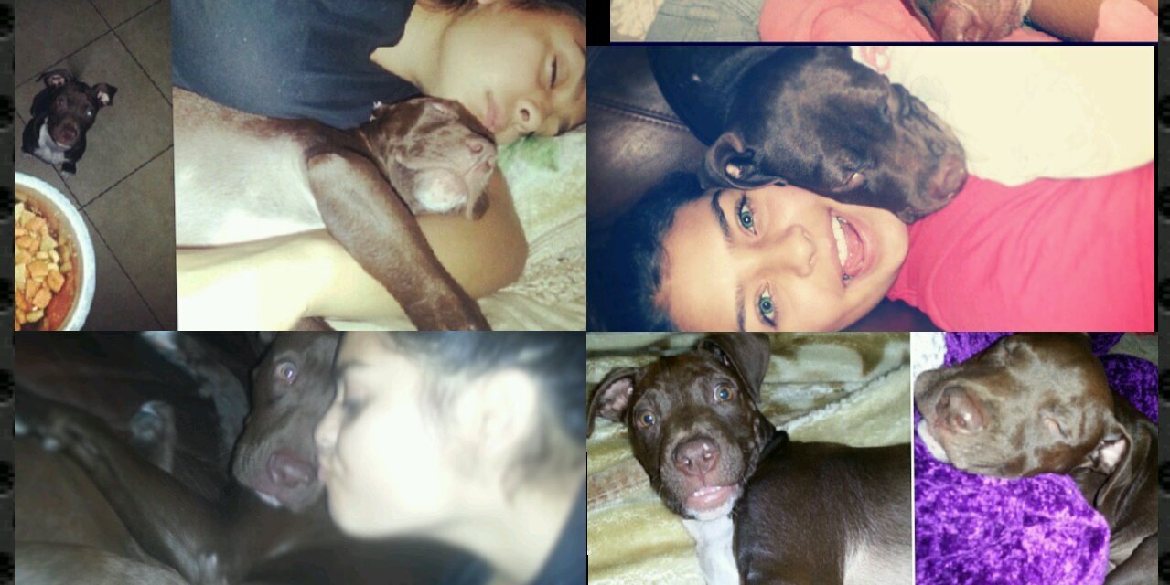 Roxy_Babyy's profile banner image