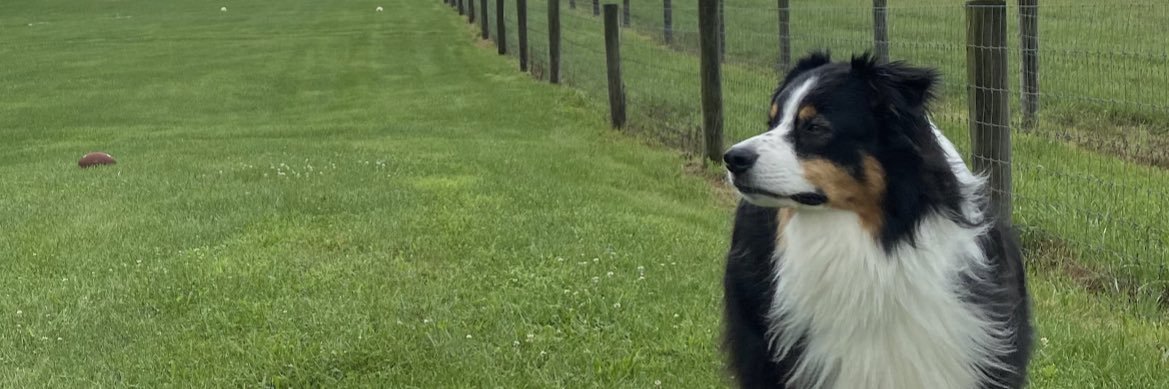 kelsey_widom's profile banner image
